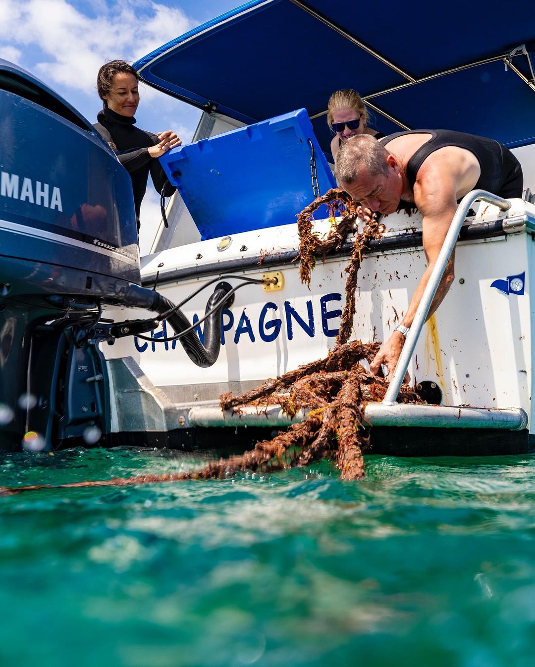 Since 2020, Fremantle Seaweed has dedicated itself to growing seaweed as a dual-purpose initiative to combat climate change and provide a sustainable food source.